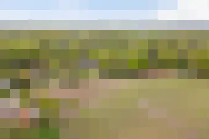Kawoepersteeg 24 Ermelo thumbnail 49