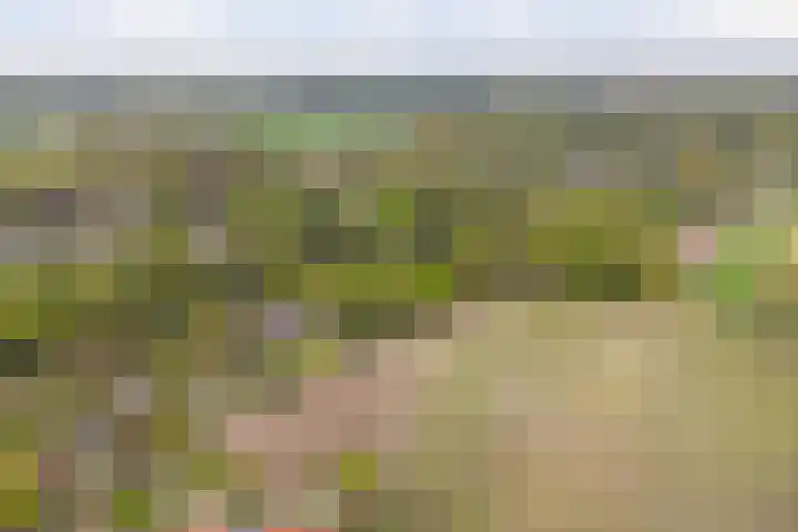 Kawoepersteeg 24 Ermelo thumbnail 50