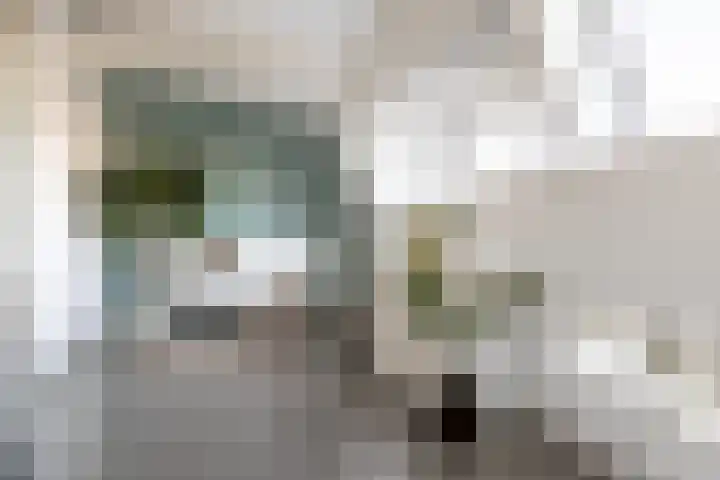 Kazerneplein 27 Haarlem thumbnail 34