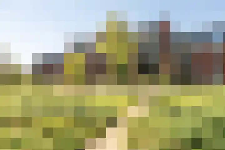 Kazerneplein 50 Haarlem thumbnail 31