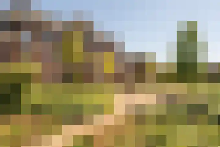 Kazerneplein 50 Haarlem thumbnail 33