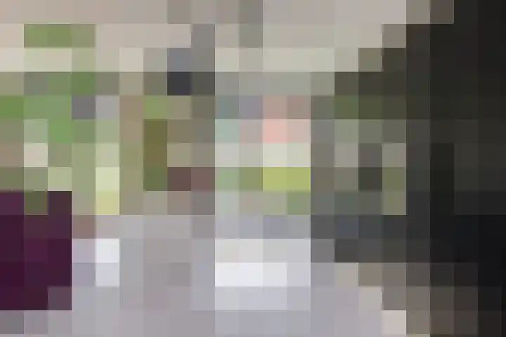 Kazerneplein 56 Haarlem thumbnail 21