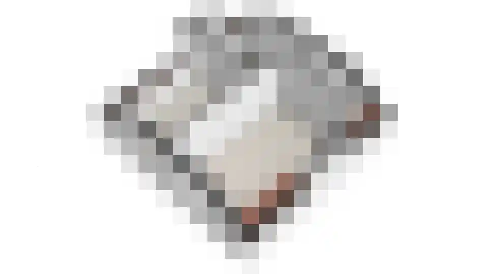 Keamerlânswei 11 Harich thumbnail 35