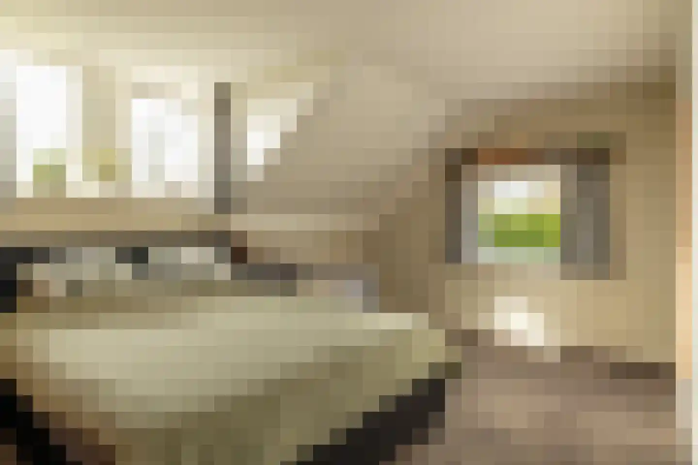 Keamerlânswei 11 Harich thumbnail 8
