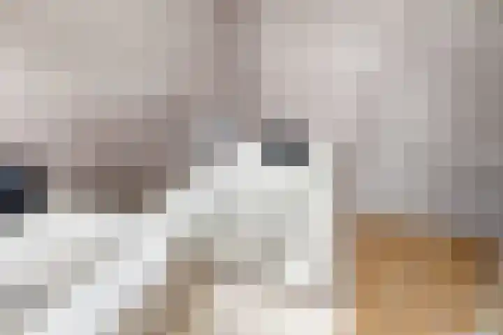Keerend 14 Stein thumbnail 11