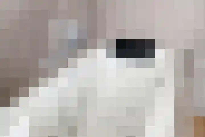 Keerend 14 Stein thumbnail 13