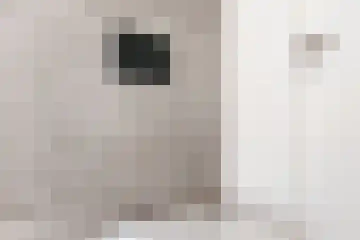 Keerend 14 Stein thumbnail 14