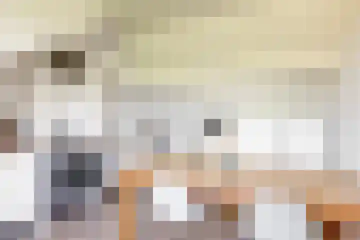 Keerend 14 Stein thumbnail 29