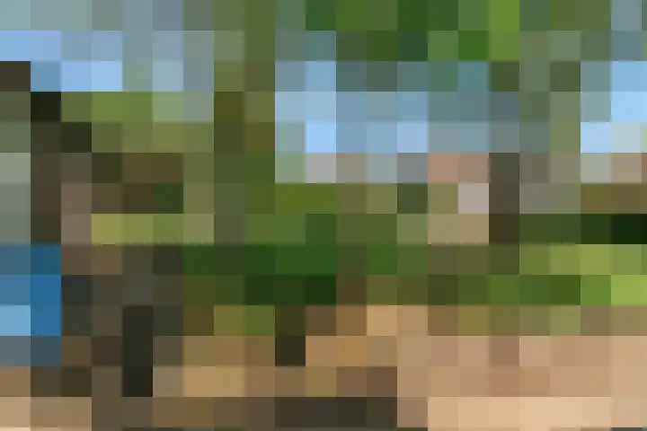 Keerend 14 Stein thumbnail 42