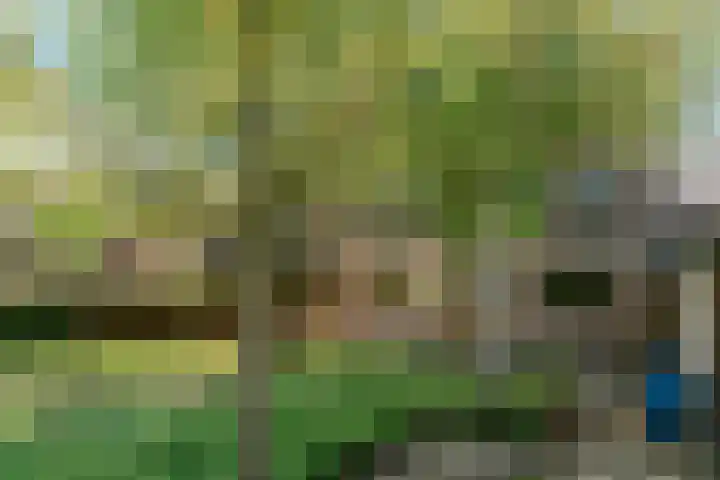 Keerend 14 Stein thumbnail 44