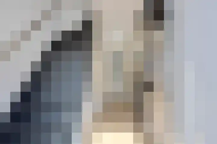 Keerenderkerkweg 16 Stein thumbnail 11