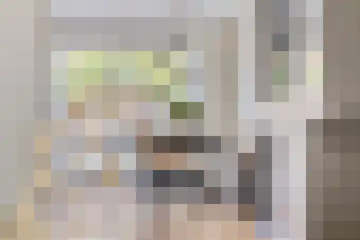 Keerenderkerkweg 16 Stein thumbnail 18