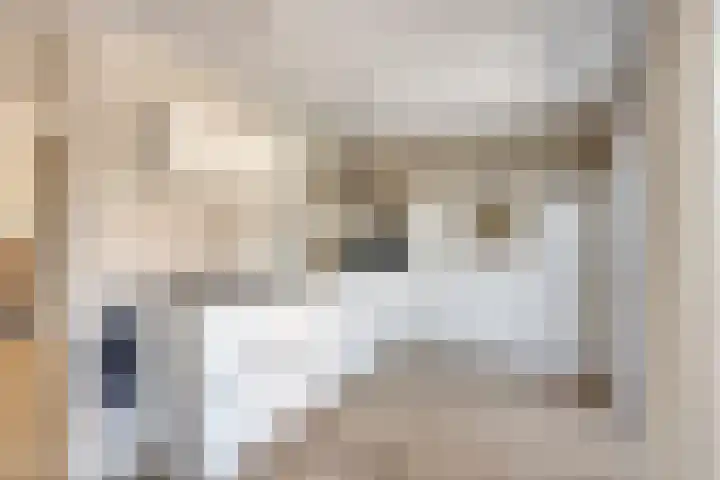 Keerenderkerkweg 16 Stein thumbnail 19