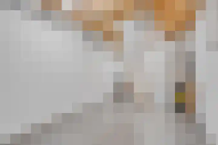 Keerenderkerkweg 16 Stein thumbnail 25