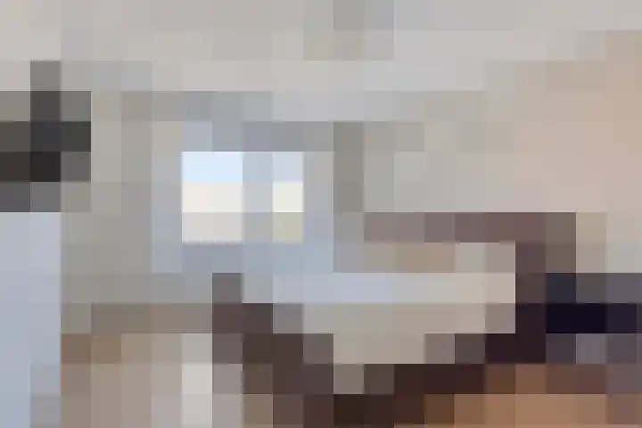 Keerenderkerkweg 16 Stein thumbnail 28