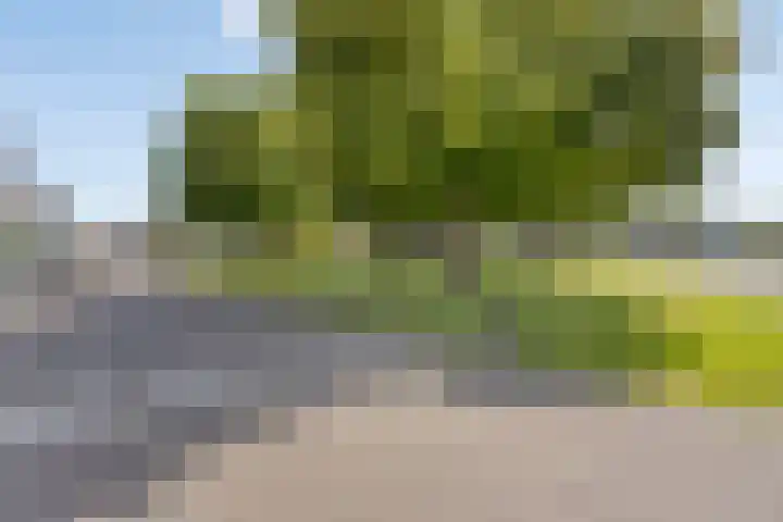 Keerenderkerkweg 16 Stein thumbnail 33