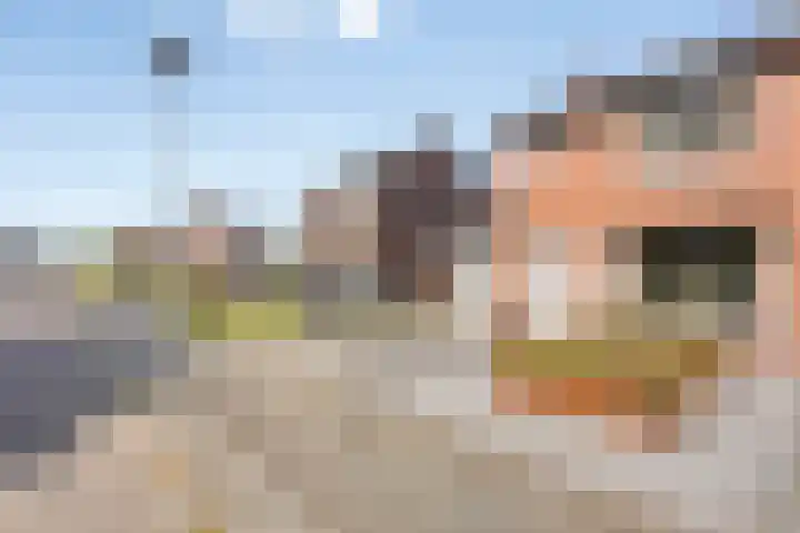 Keerenderkerkweg 16 Stein thumbnail 9
