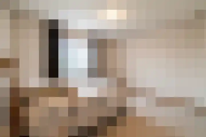 Keerenderkerkweg 7 Stein thumbnail 10