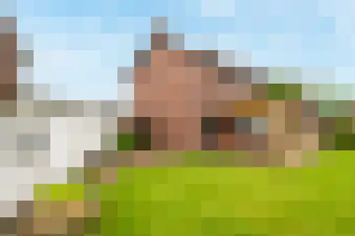 Keerenderkerkweg 7 Stein thumbnail 14