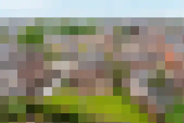 Keerenderkerkweg 7 Stein thumbnail 17