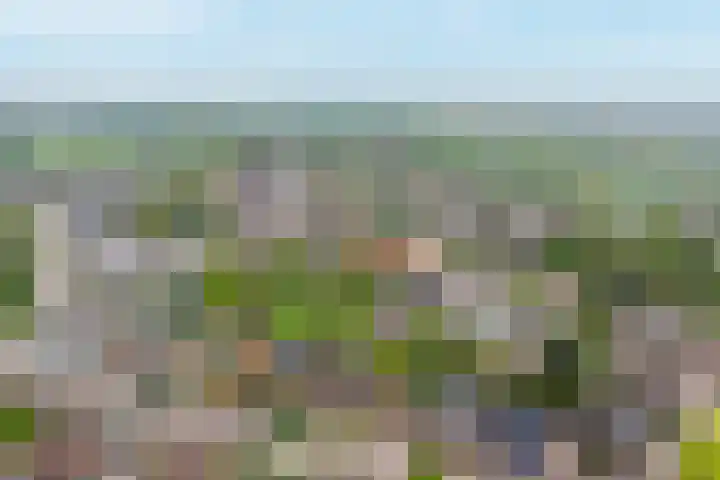 Keerenderkerkweg 7 Stein thumbnail 18