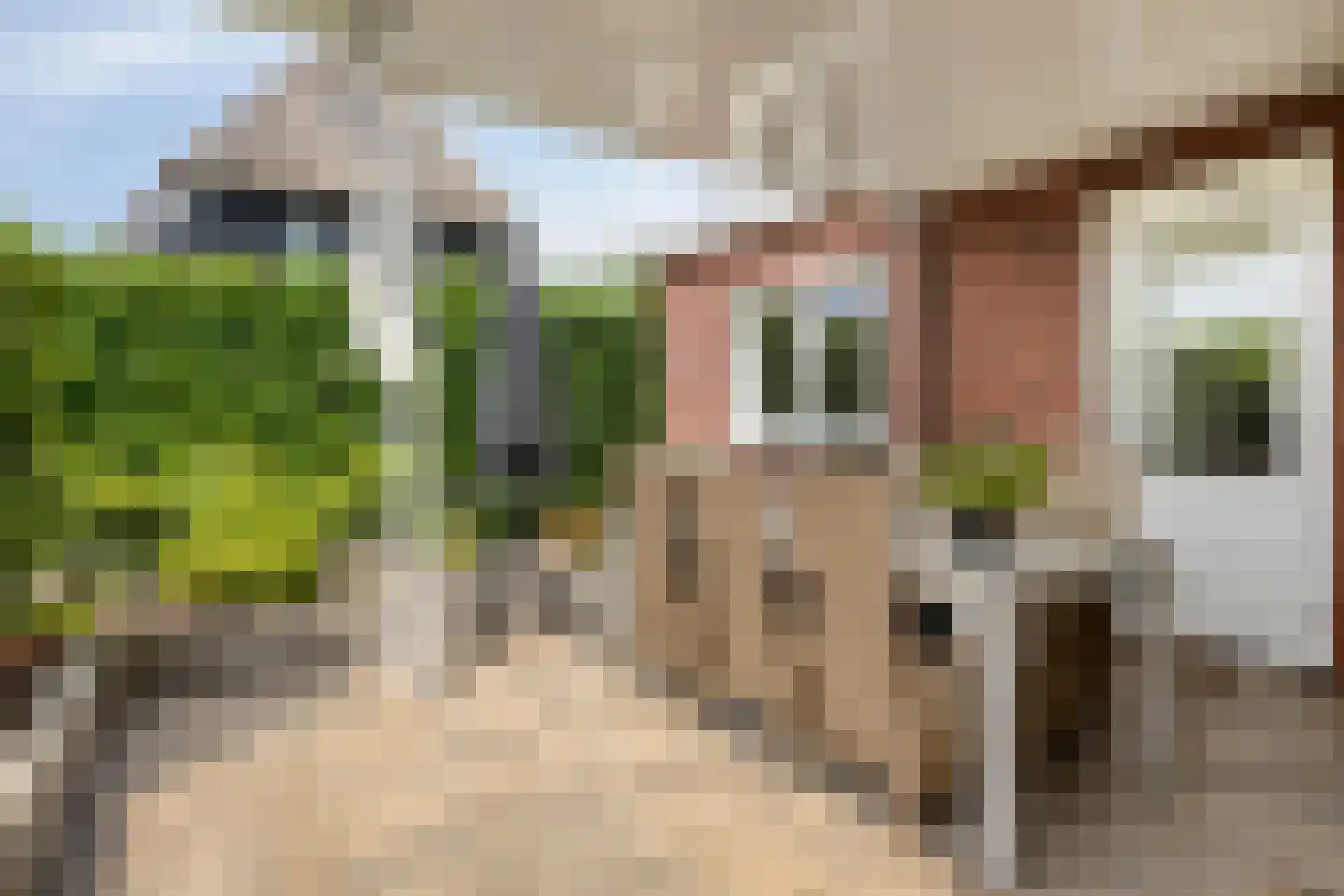 Keeriet 2 Bornerbroek thumbnail 31