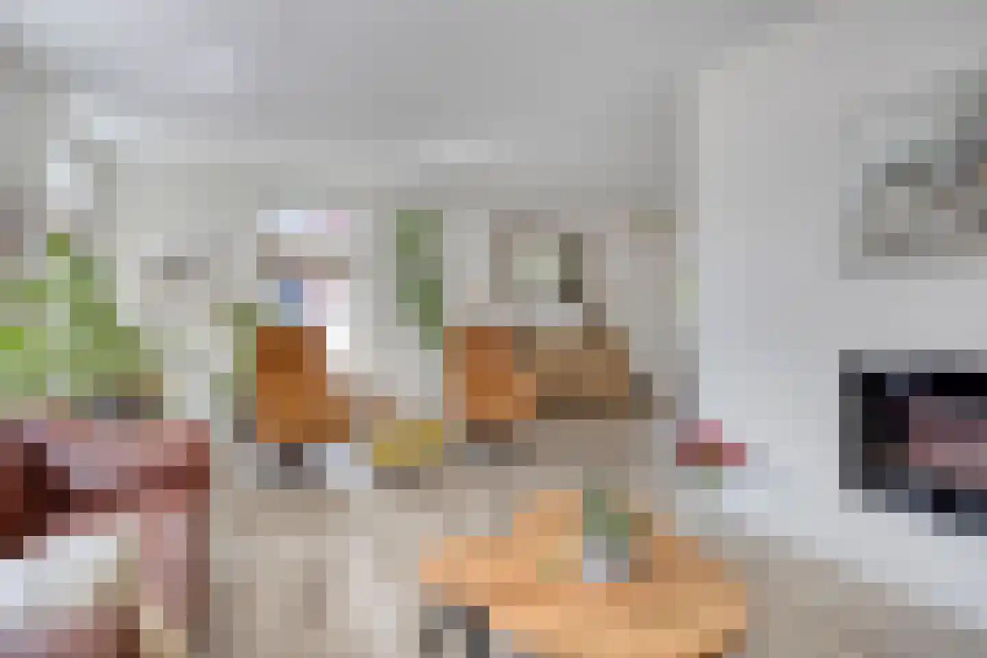 Keeriet 2 Bornerbroek thumbnail 8
