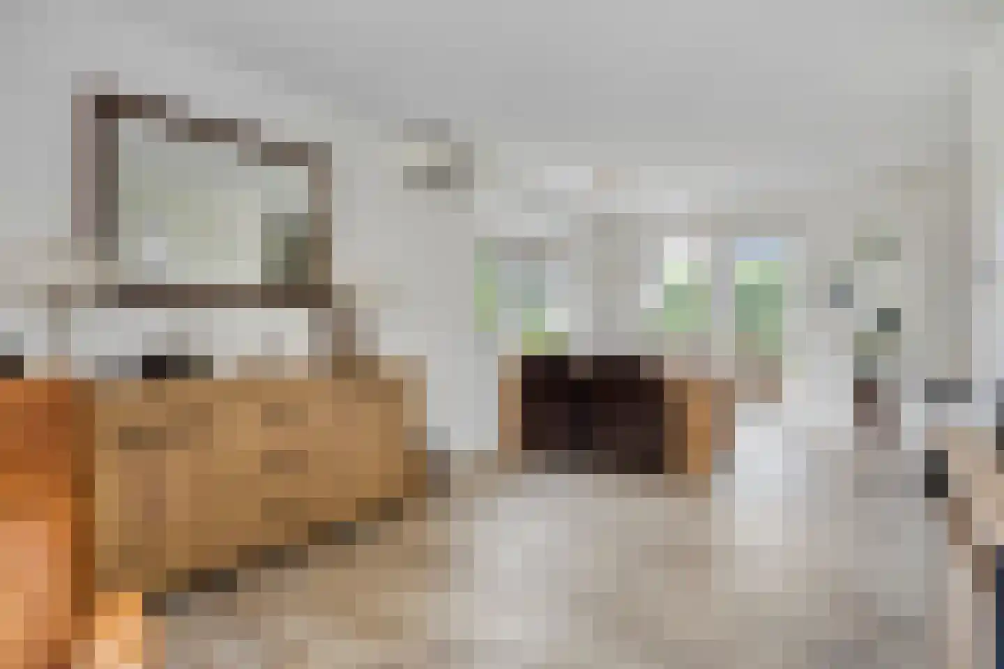 Keeriet 2 Bornerbroek thumbnail 9