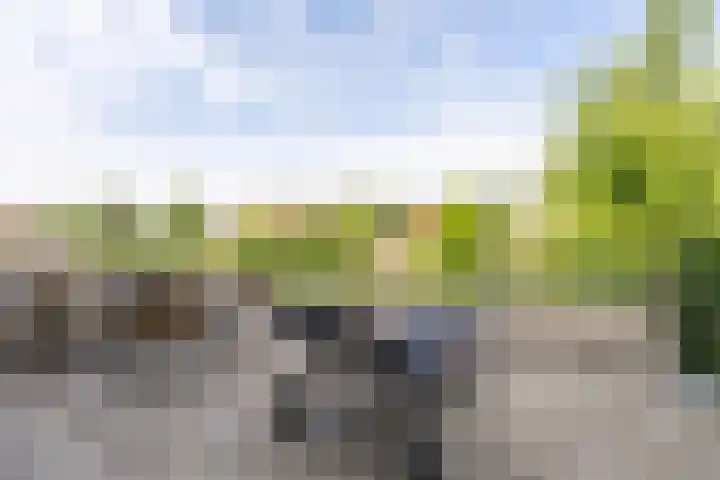 Keerkade 12 Leusden thumbnail 25