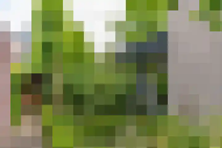 Keerkade 12 Leusden thumbnail 53
