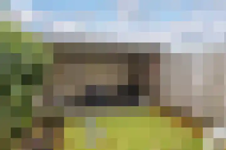 Keerkade 38 Leusden thumbnail 21