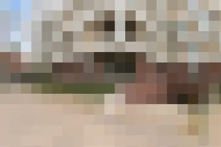 Keermanslaan 122 Breda thumbnail 33