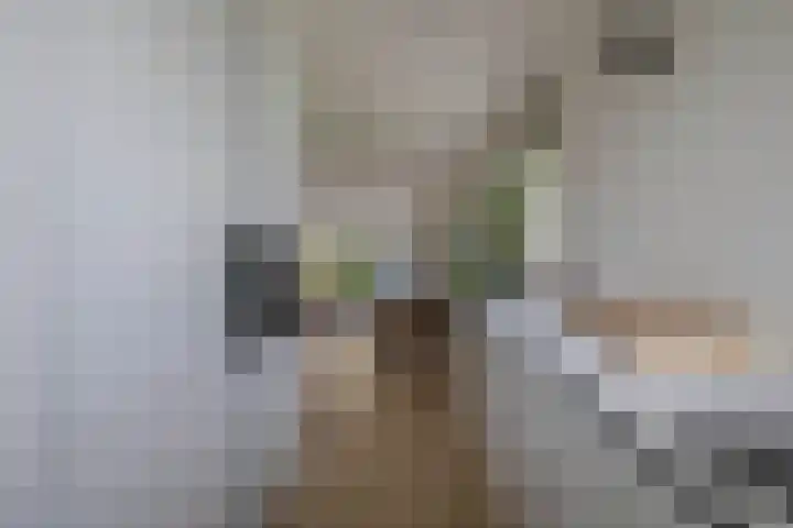 Kees de Beverpad 12 Eindhoven thumbnail 17