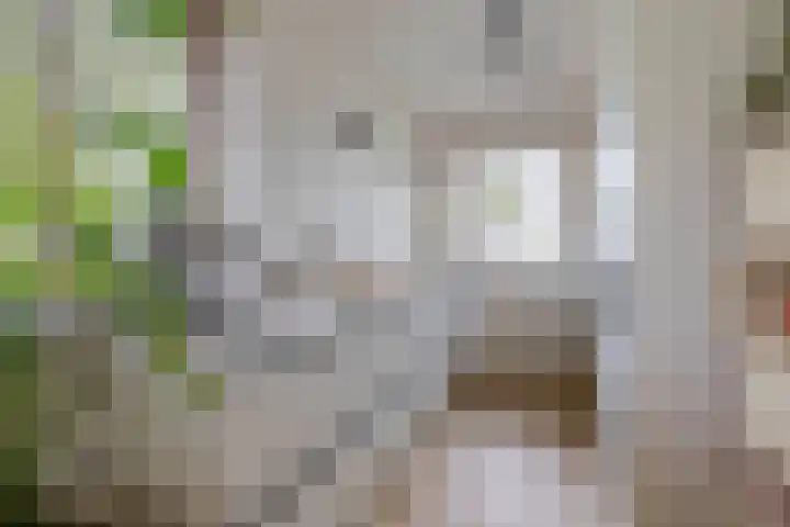 Kees de Beverpad 12 Eindhoven thumbnail 18