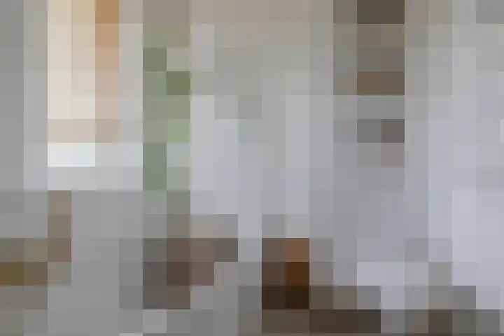 Kees de Beverpad 12 Eindhoven thumbnail 25