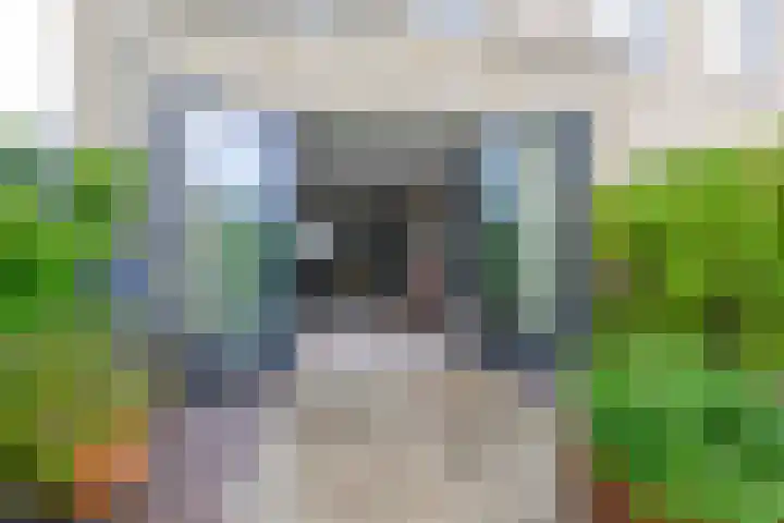 Kees de Beverpad 12 Eindhoven thumbnail 32