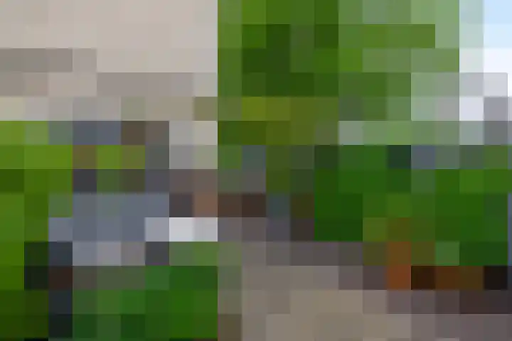 Kees de Beverpad 12 Eindhoven thumbnail 4