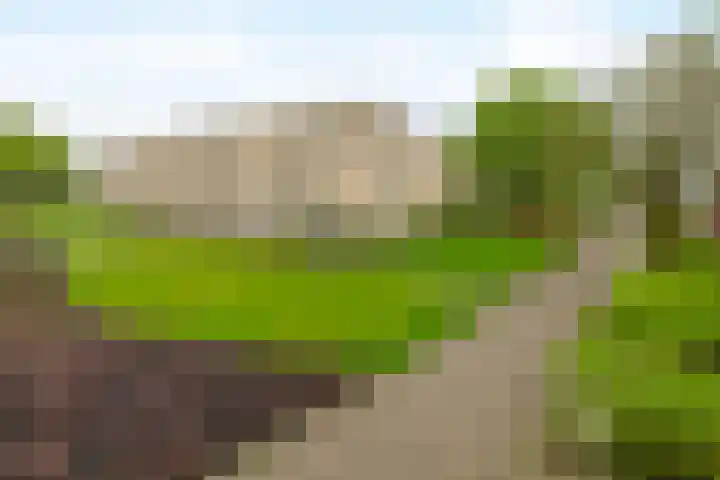 Kees de Beverpad 12 Eindhoven thumbnail 5
