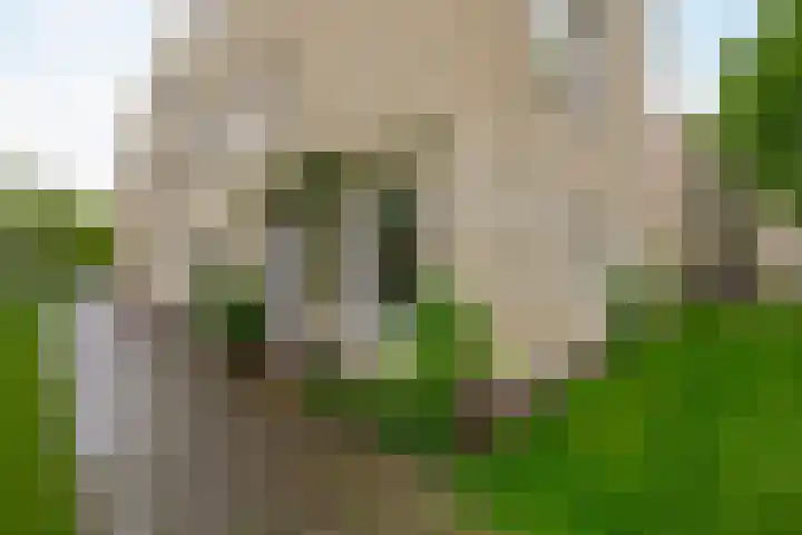 Kees de Beverpad 12 Eindhoven thumbnail 6