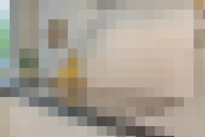 Kees de Beverpad 13 Eindhoven thumbnail 10