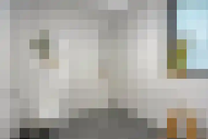Kees de Beverpad 13 Eindhoven thumbnail 19