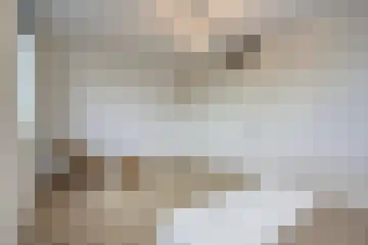 Kees de Beverpad 13 Eindhoven thumbnail 23