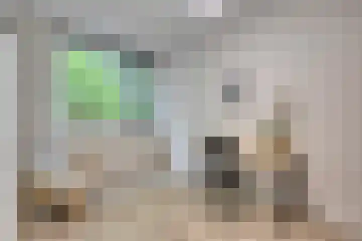 Kees de Beverpad 13 Eindhoven thumbnail 24