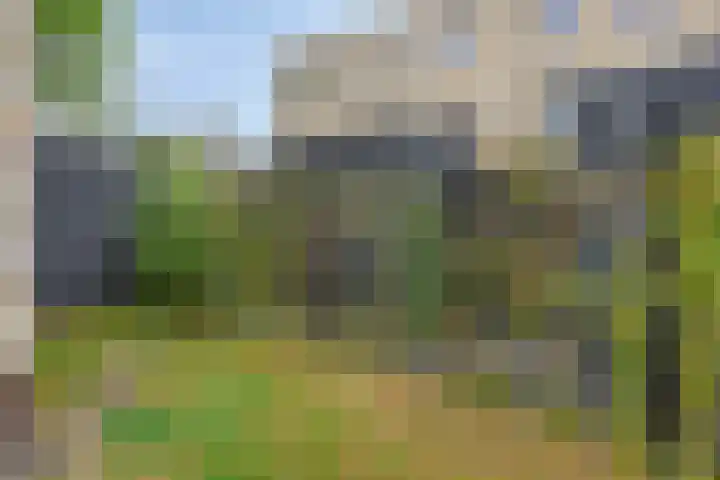 Kees de Beverpad 13 Eindhoven thumbnail 30