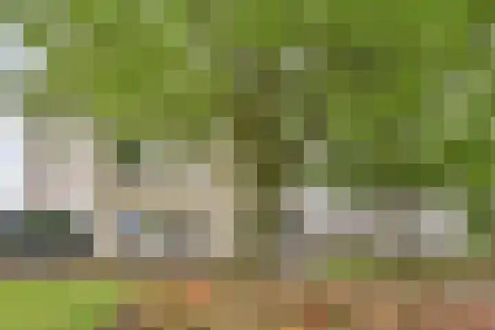 Kees de Beverpad 13 Eindhoven thumbnail 35