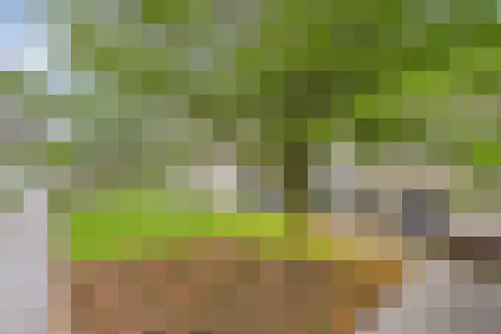 Kees de Beverpad 13 Eindhoven thumbnail 37