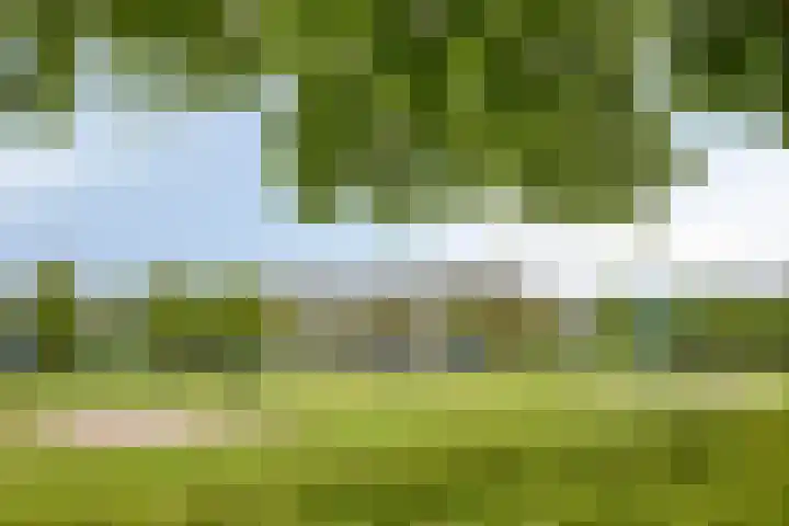 Kees de Beverpad 13 Eindhoven thumbnail 39