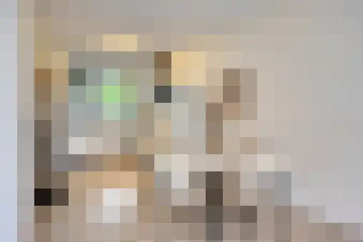 Kees de Beverpad 13 Eindhoven thumbnail 9
