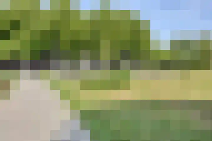 Kees de Beverpad 27 Eindhoven thumbnail 27
