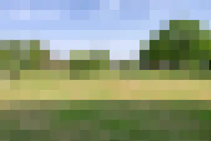 Kees de Beverpad 27 Eindhoven thumbnail 28